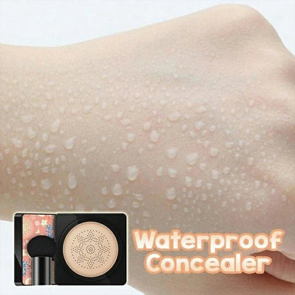 Popular CC Beauty Face Cream Natural Concealer Foundation